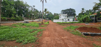  Residential Plot for Sale in Punkunnam, Thrissur