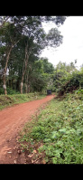  Agricultural Land for Sale in Wandoor, Malappuram