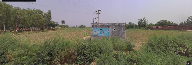  25 Bigha Agricultural/Farm Land for Sale in Nehtaur, Bijnor