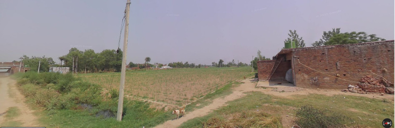  25 Bigha Agricultural/Farm Land for Sale in Nehtaur, Bijnor
