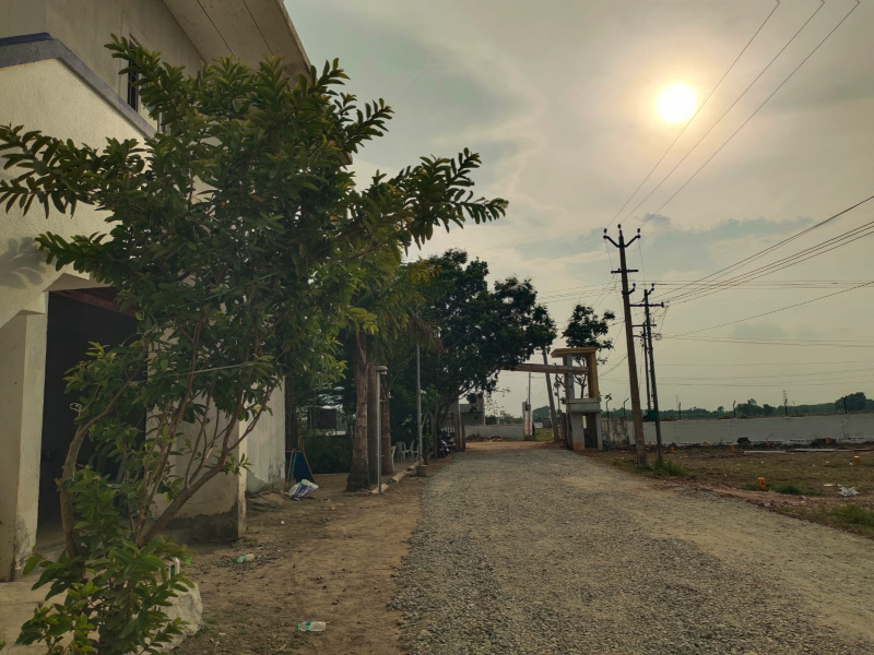 Residential Plot 1206 Sq.ft. for Sale in Thiruninravur, Chennai