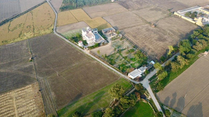 69696 Sq.ft. Agricultural/Farm Land for Sale in Fatehgarh Churian, Amritsar