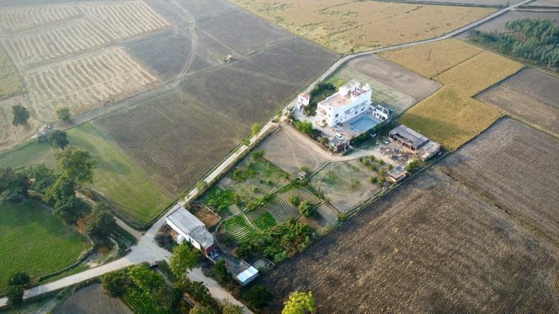 69696 Sq.ft. Agricultural/Farm Land for Sale in Fatehgarh Churian, Amritsar