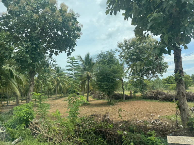  Industrial Land 2 Acre for Sale in Gummidipoondi, Chennai