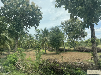  Industrial Land for Sale in Thiruvallalar, Chennai