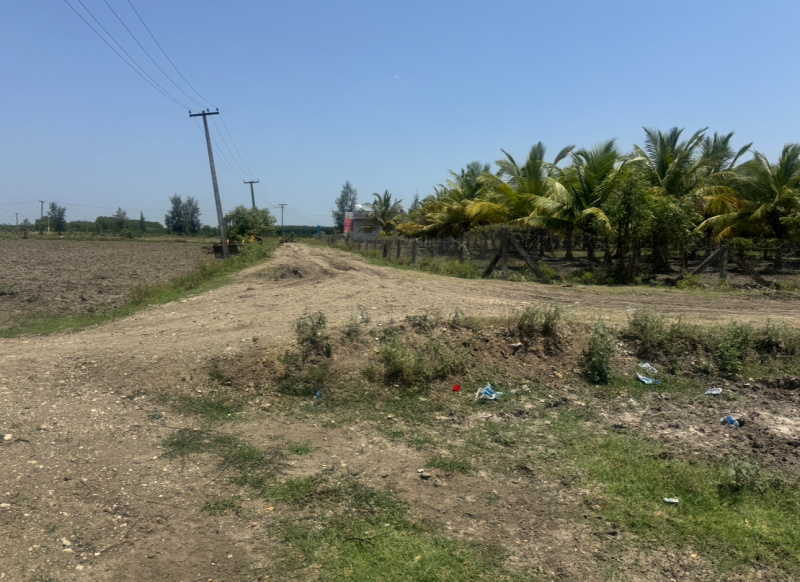  Agricultural Land 1200 Acre for Sale in Vanur, Villupuram
