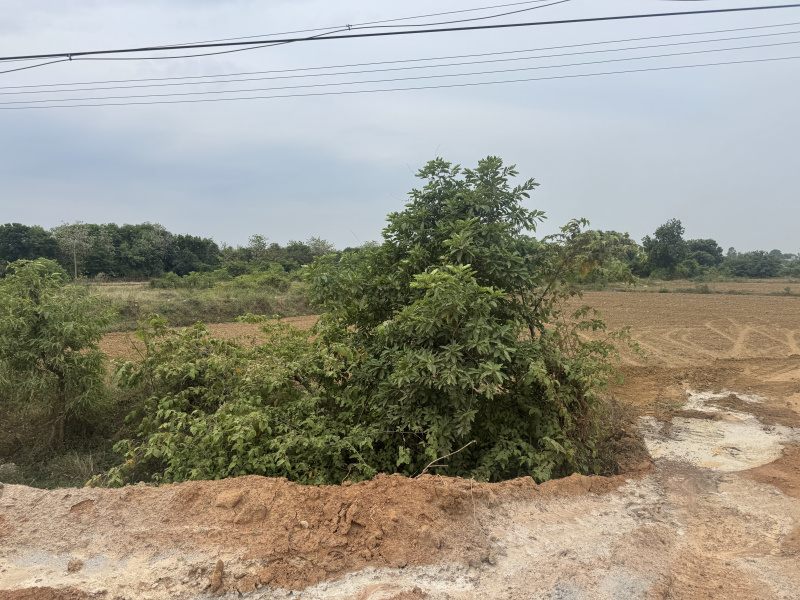  Industrial Land 52 Cent for Sale in Gummidipoondi, Thiruvallur