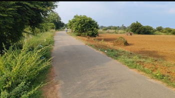  Agricultural Land for Sale in Gummidipoondi, Thiruvallur