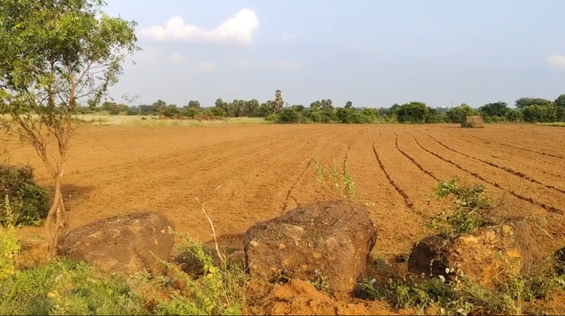  5 Ares Agricultural/Farm Land for Sale in Gummidipoondi, Thiruvallur