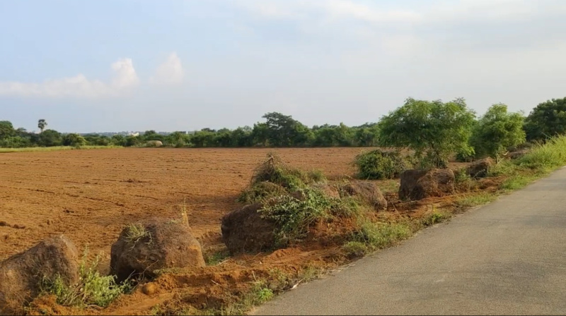  5 Ares Agricultural/Farm Land for Sale in Gummidipoondi, Thiruvallur