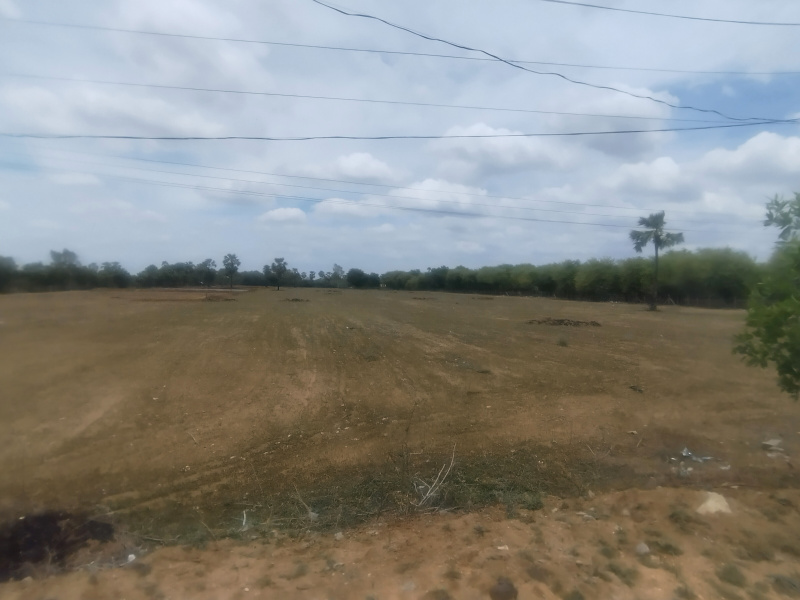  Agricultural Land 6 Acre for Sale in Choutuppal, Yadadri Bhuvanagiri