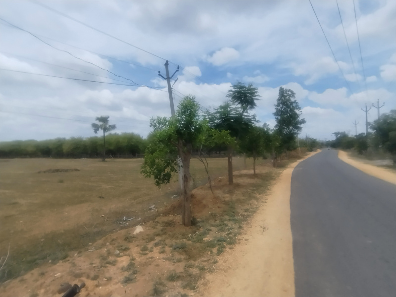  3 Acre Agricultural/Farm Land for Sale in Choutuppal, Yadadri Bhuvanagiri