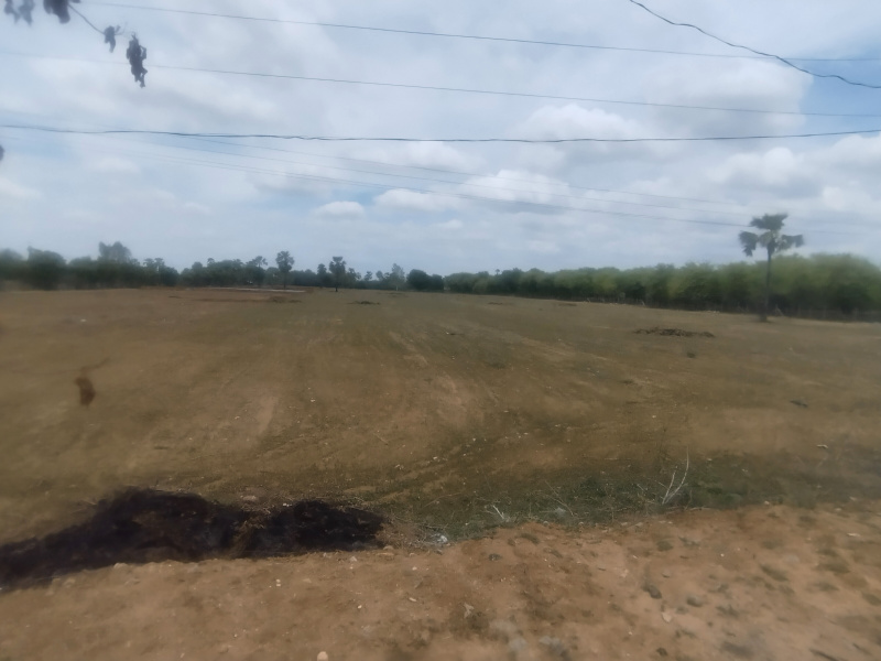  3 Acre Agricultural/Farm Land for Sale in Choutuppal, Yadadri Bhuvanagiri