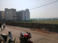 Agricultural Land for Sale in Kadodara, Surat