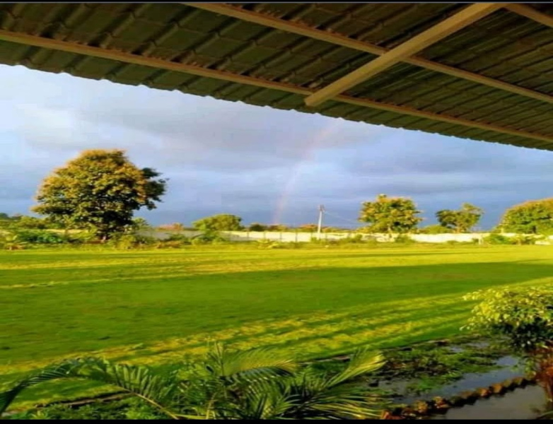  Residential Plot 5000 Sq.ft. for Sale in Amravati Road, Nagpur