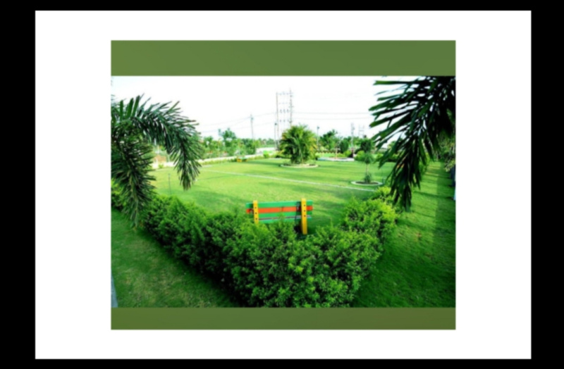  Residential Plot 900 Sq.ft. for Sale in Tilhari, Jabalpur