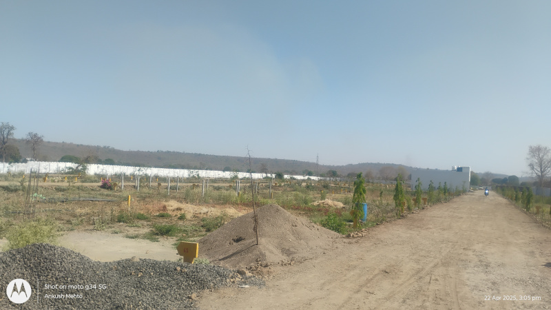  Residential Plot 1000 Sq.ft. for Sale in Tilhari, Jabalpur