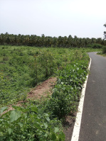  Residential Plot for Sale in Bargur, Krishnagiri