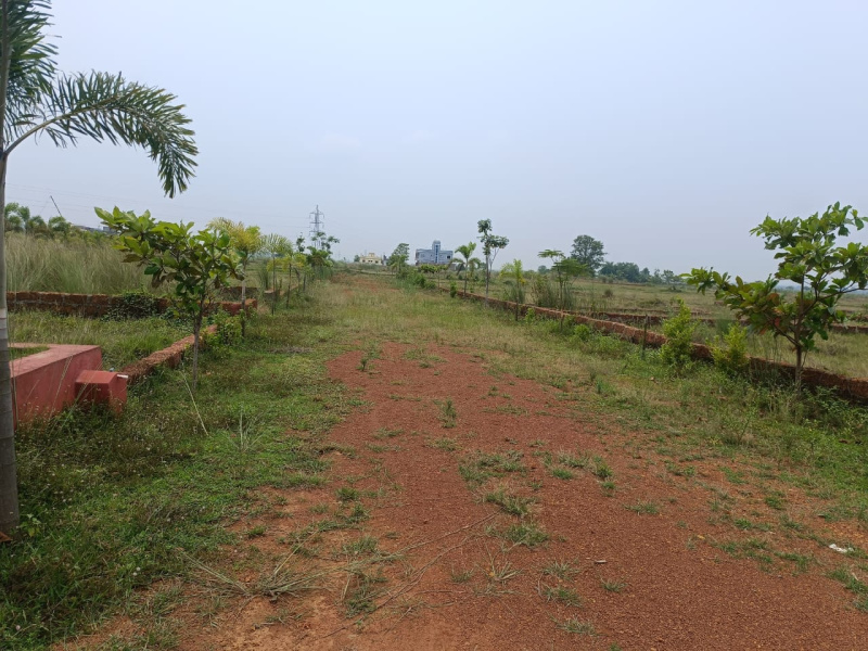  Residential Plot 2200 Sq.ft. for Sale in Khandagiri, Bhubaneswar