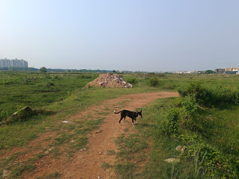  2000 Sq.ft. Residential Plot for Sale in Patrapada, Bhubaneswar