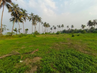  Residential Plot for Sale in Debra, Medinipur