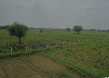  Agricultural Land for Sale in Naugaon, Alwar
