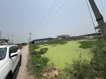  Agricultural Land for Sale in Shahbad, Kurukshetra