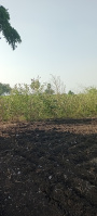 Agricultural Land for Sale in Etukuru, Guntur