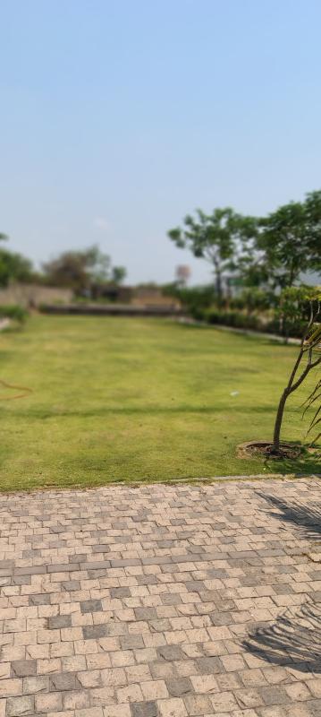  1210 Sq.ft. Residential Plot for Sale in Shankar Nagar, Raipur