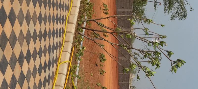  1200 Sq.ft. Residential Plot for Sale in Pirda, Raipur