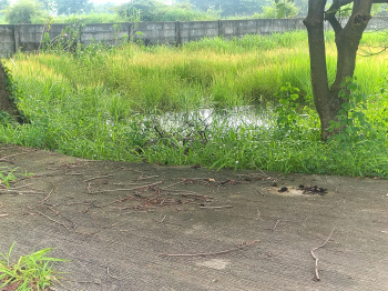  Residential Plot for Sale in Old Dhamtari Road, Raipur