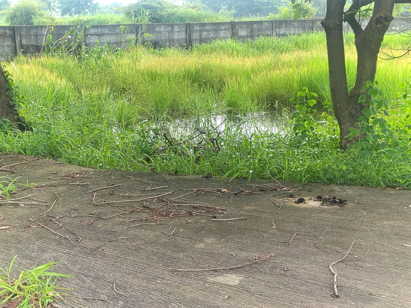  2200 Sq.ft. Residential Plot for Sale in Old Dhamtari Road, Raipur