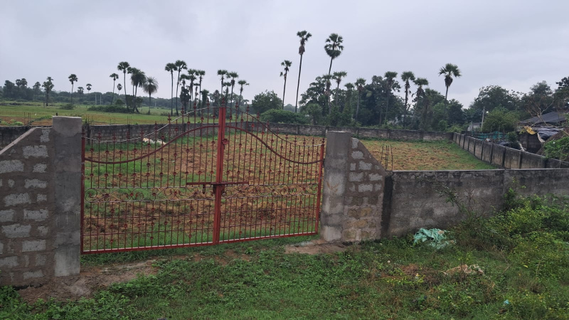  8711 Sq.ft. Residential Plot for Sale in Nuzvid, Vijayawada