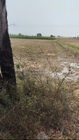  Agricultural Land for Sale in Shahbad, Kurukshetra