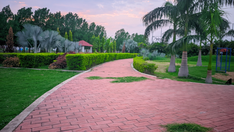  Residential Plot 1200 Sq.ft. for Sale in Dunda, Raipur