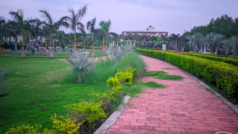  Residential Plot 1200 Sq.ft. for Sale in Dunda, Raipur