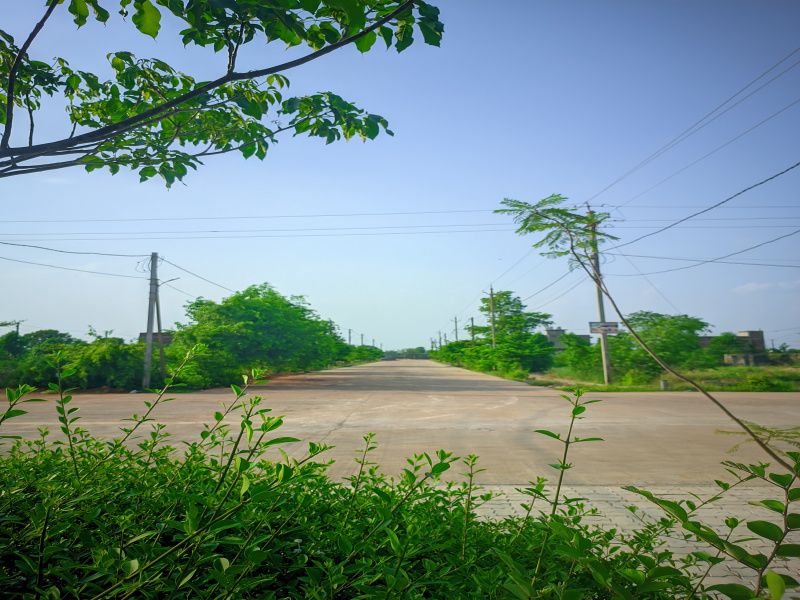  Residential Plot 1200 Sq.ft. for Sale in Kamal Vihar, Raipur