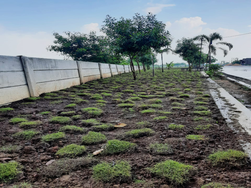  Residential Plot 800 Sq.ft. for Sale in Vidhan Sabha Road, Raipur