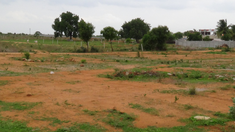  Residential Plot 16 Acre for Sale in Kothur, Hyderabad