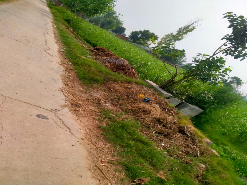  Agricultural Land 20 Bigha for Sale in Garhmukteshwar, Hapur