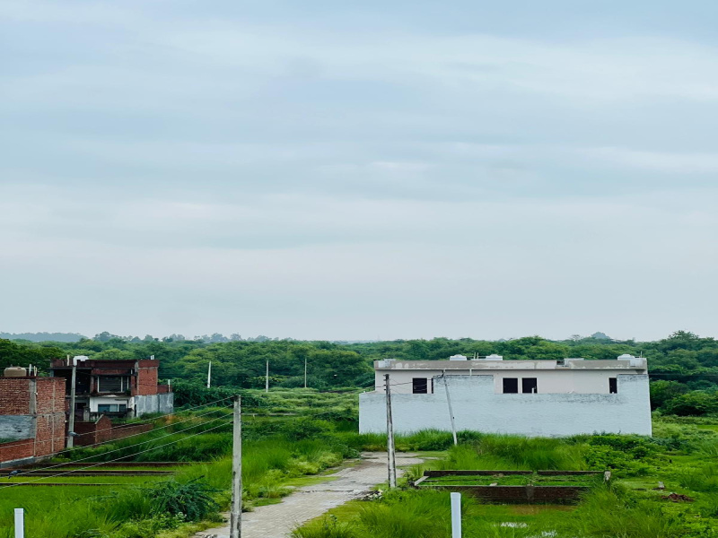  Residential Plot 80 Sq. Yards for Sale in Gulabgarh, Dera Bassi