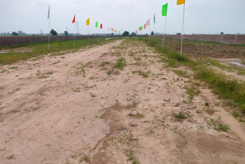  1350 Sq.ft. Residential Plot for Sale in Paragpur, Dera Bassi