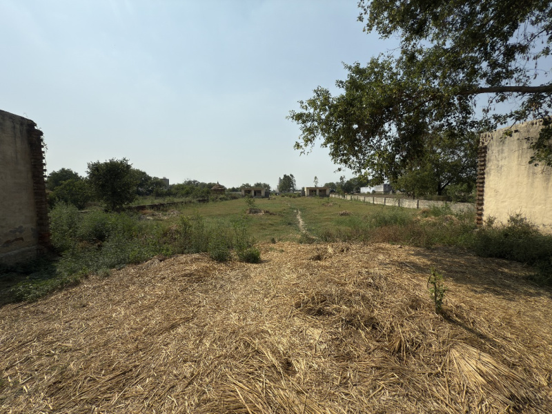  Industrial Land 72000 Sq.ft. for Sale in Sector 32 Greater Noida