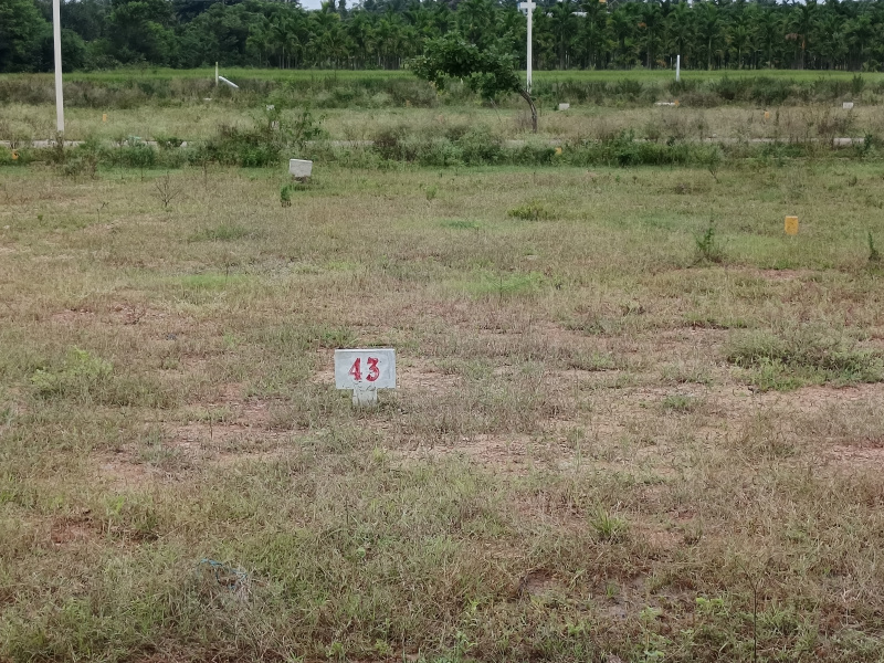  Residential Plot 1500 Sq.ft. for Sale in Avaragere, Davanagere