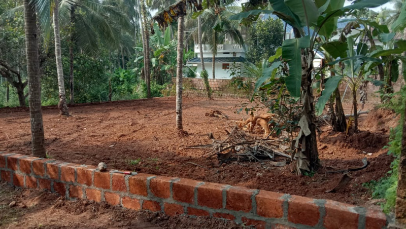  Residential Plot 11 Cent for Sale in Kuthuparamba, Kannur