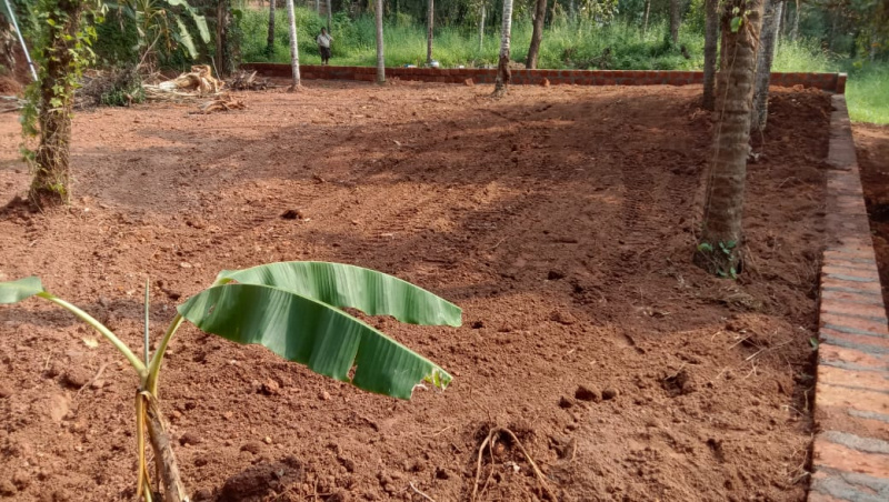  Residential Plot 11 Cent for Sale in Kuthuparamba, Kannur