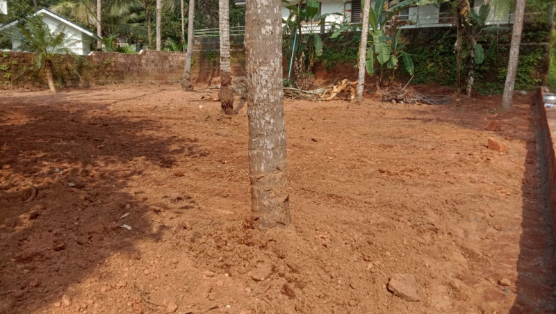  Residential Plot 11 Cent for Sale in Kuthuparamba, Kannur