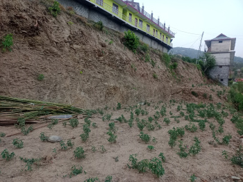  Hotels for Rent in Ghanahatti, Shimla