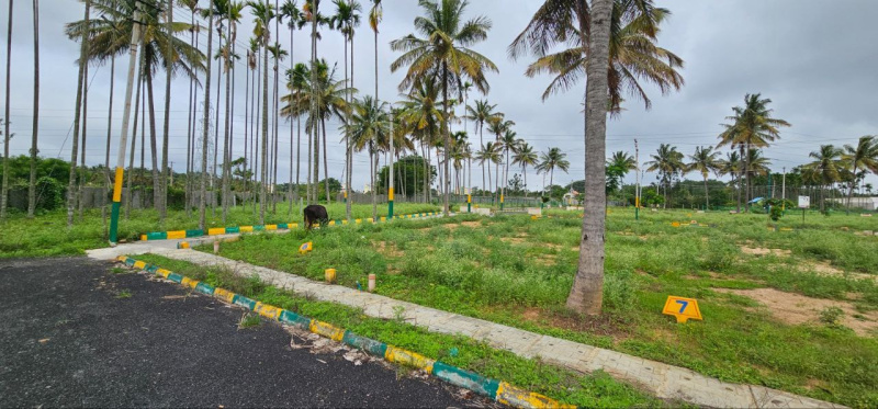  Residential Plot 1200 Sq.ft. for Sale in Nelamangala, Bangalore