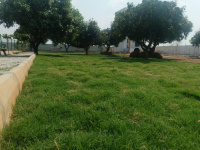  Commercial Land for Sale in Vemagal, Kolar